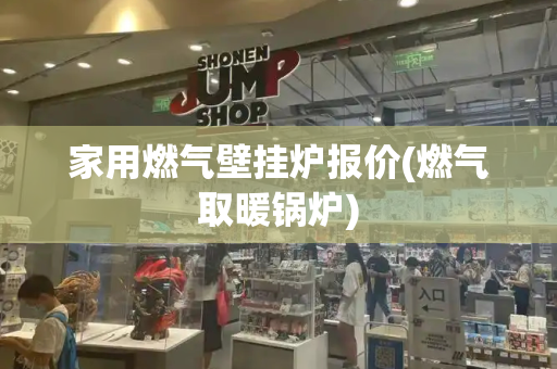 家用燃气壁挂炉报价(燃气取暖锅炉)-第1张图片-星选测评