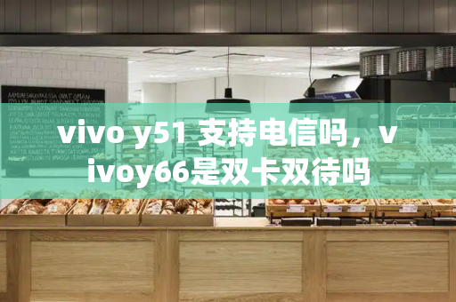 vivo y51 支持电信吗，vivoy66是双卡双待吗