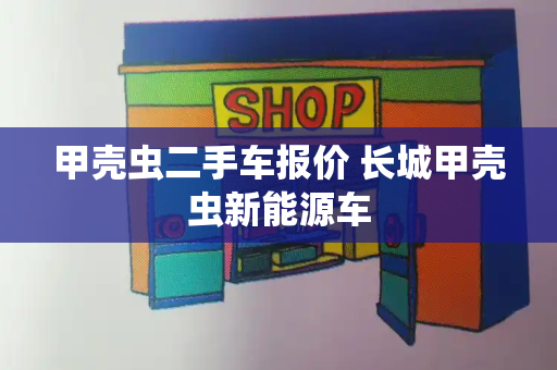 甲壳虫二手车报价 长城甲壳虫新能源车-第1张图片-星选测评