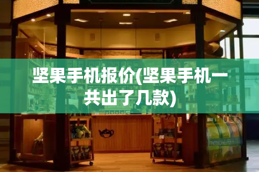 坚果手机报价(坚果手机一共出了几款)