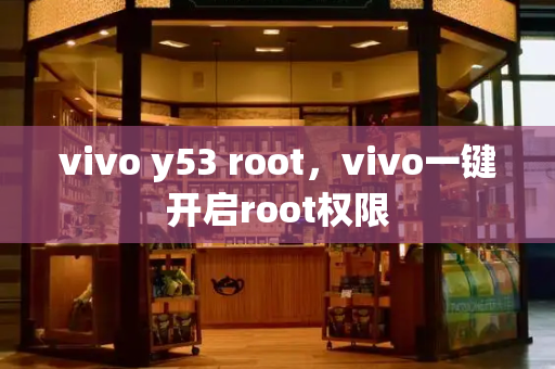 vivo y53 root，vivo一键开启root权限-第1张图片-星选测评