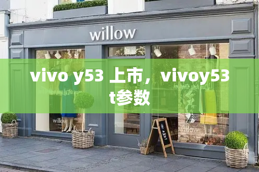 vivo y53 上市，vivoy53t参数-第1张图片-星选测评