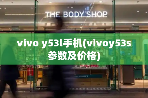 vivo y53l手机(vivoy53s参数及价格)