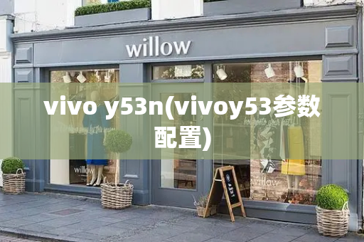 vivo y53n(vivoy53参数配置)