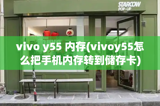 vivo y55 内存(vivoy55怎么把手机内存转到储存卡)