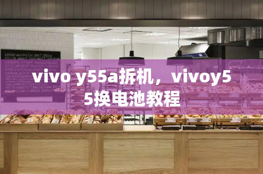 vivo y55a拆机，vivoy55换电池教程-第1张图片-星选测评