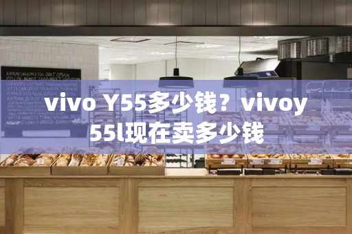 vivo Y55多少钱？vivoy55l现在卖多少钱