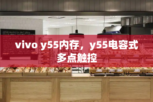 vivo y55内存，y55电容式多点触控