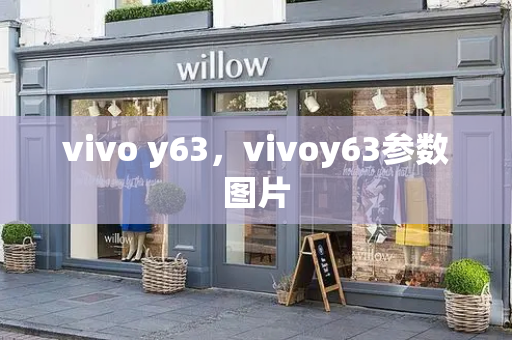 vivo y63，vivoy63参数图片