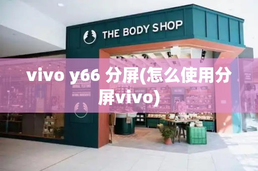 vivo y66 分屏(怎么使用分屏vivo)-第1张图片-星选测评