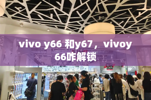 vivo y66 和y67，vivoy66咋解锁-第1张图片-星选测评
