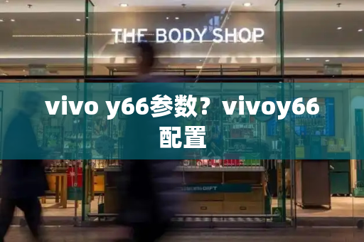 vivo y66参数？vivoy66配置-第1张图片-星选测评