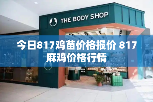 今日817鸡苗价格报价 817麻鸡价格行情