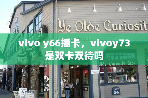 vivo y66插卡，vivoy73是双卡双待吗