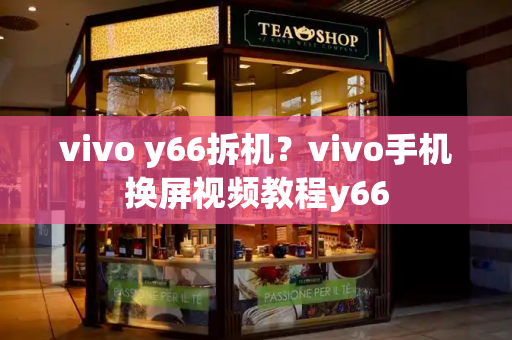vivo y66拆机？vivo手机换屏视频教程y66
