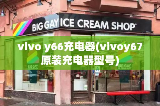 vivo y66充电器(vivoy67原装充电器型号)-第1张图片-星选测评