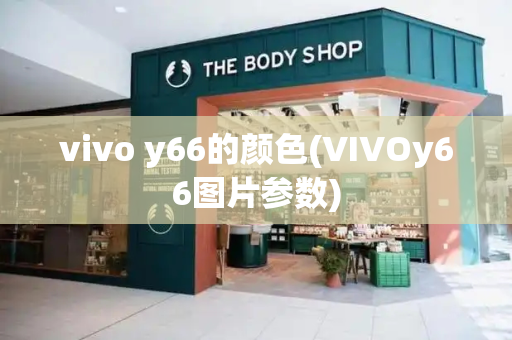 vivo y66的颜色(VIVOy66图片参数)