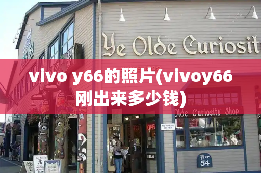 vivo y66的照片(vivoy66刚出来多少钱)