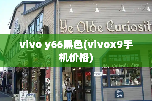 vivo y66黑色(vivox9手机价格)