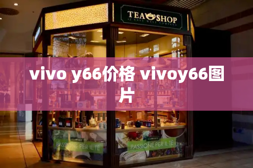 vivo y66价格 vivoy66图片