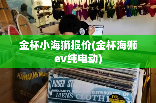金杯小海狮报价(金杯海狮ev纯电动)