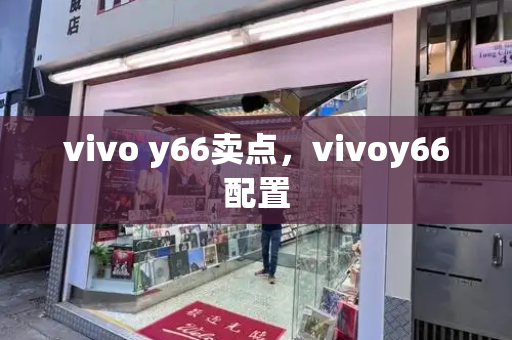 vivo y66卖点，vivoy66配置