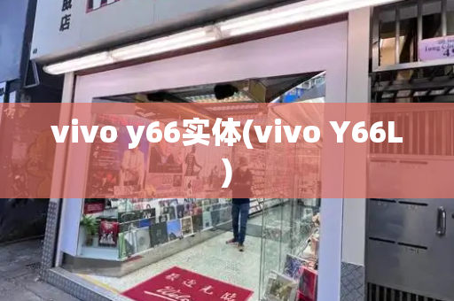 vivo y66实体(vivo Y66L)