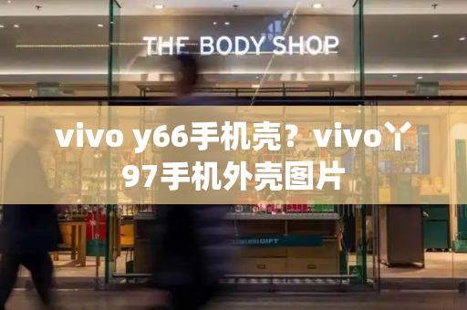 vivo y66手机壳？vivo丫97手机外壳图片
