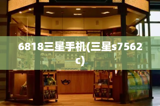 6818三星手机(三星s7562c)