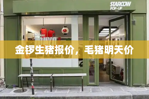 金锣生猪报价，毛猪明天价