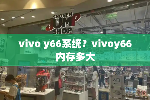 vivo y66系统？vivoy66内存多大