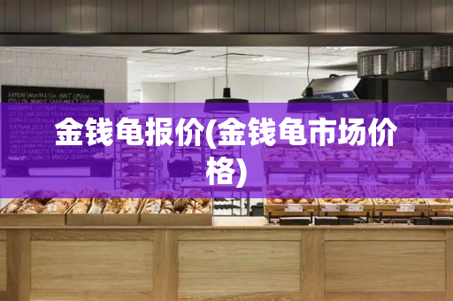 金钱龟报价(金钱龟市场价格)