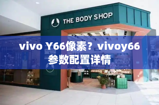 vivo Y66像素？vivoy66参数配置详情-第1张图片-星选测评