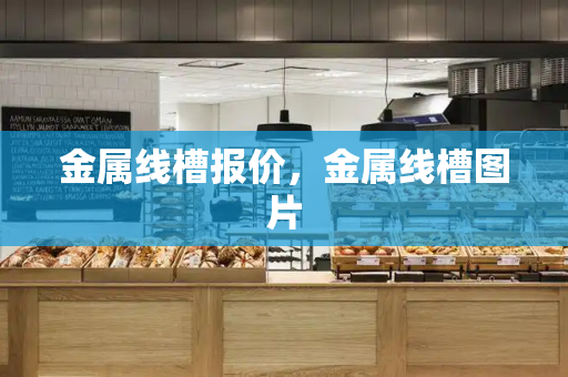 金属线槽报价，金属线槽图片