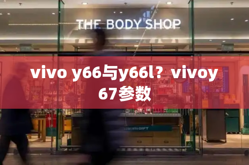 vivo y66与y66l？vivoy67参数