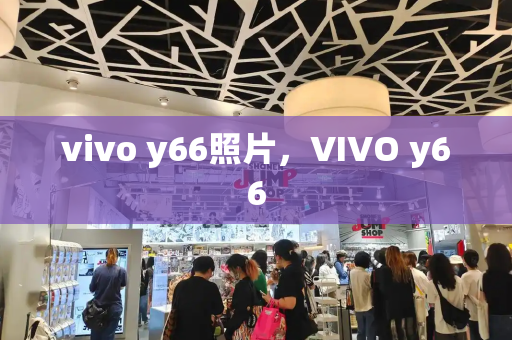 vivo y66照片，VIVO y66-第1张图片-星选测评