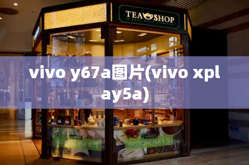 vivo y67a图片(vivo xplay5a)