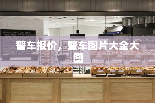 警车报价，警车图片大全大图