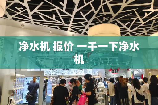 净水机 报价 一千一下净水机