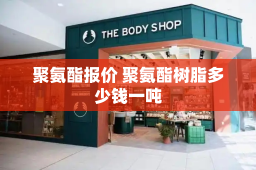 聚氨酯报价 聚氨酯树脂多少钱一吨-第1张图片-星选测评