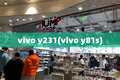 vivo y231(vivo y81s)