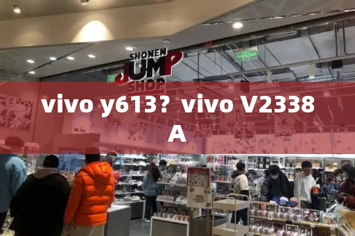vivo y613？vivo V2338A