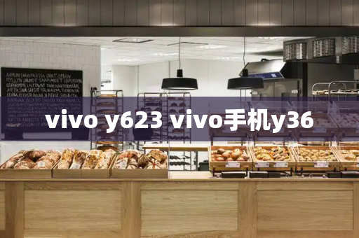 vivo y623 vivo手机y36-第1张图片-星选测评