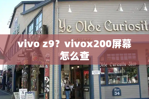vivo z9？vivox200屏幕怎么查-第1张图片-星选测评