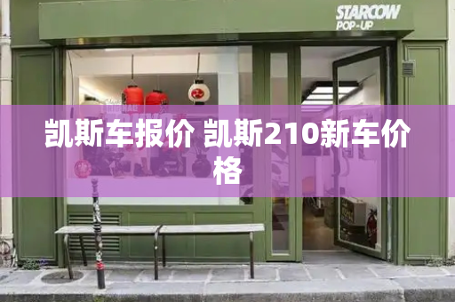 凯斯车报价 凯斯210新车价格-第1张图片-星选测评