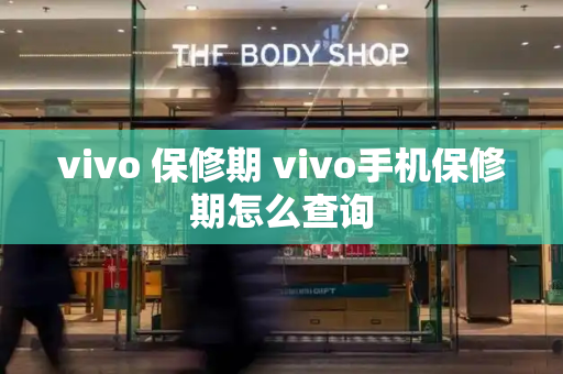 vivo 保修期 vivo手机保修期怎么查询-第1张图片-星选测评