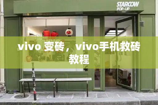 vivo 变砖，vivo手机救砖教程