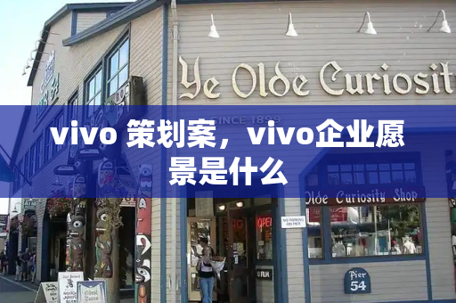 vivo 策划案，vivo企业愿景是什么