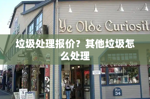 垃圾处理报价？其他垃圾怎么处理