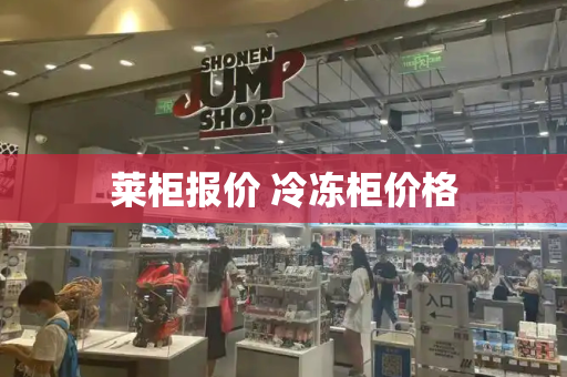 莱柜报价 冷冻柜价格